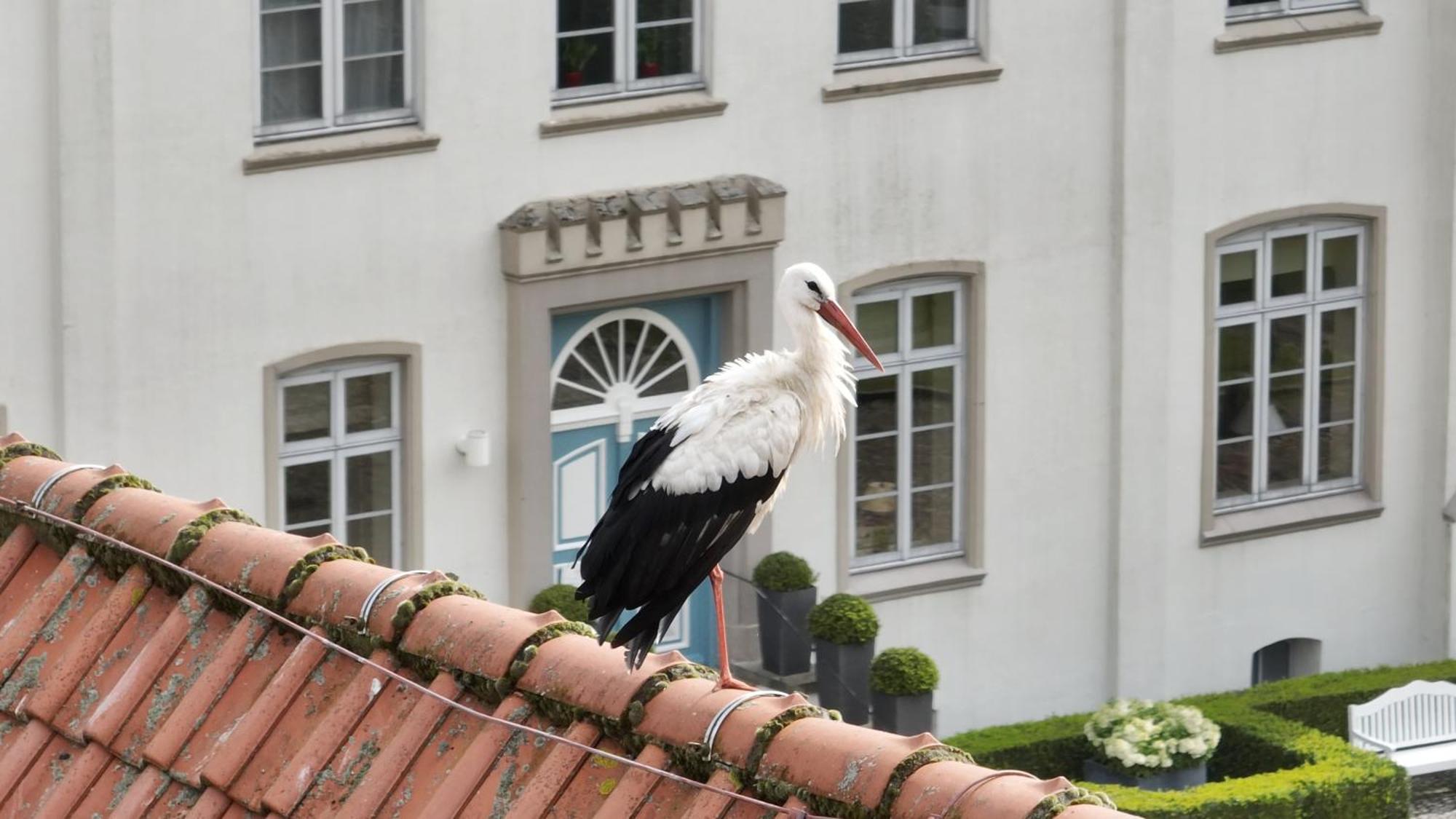 Hotel & Gaestehaus Gut Kaden Alveslohe エクステリア 写真